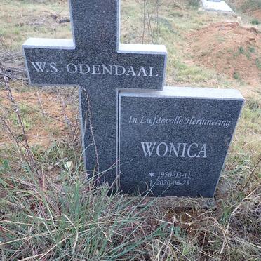 ODENDAAL W.S. 1950-2020