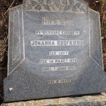 TOORENENBERGEN Johanna Godfrieda, van nee LUYT 1878-1953