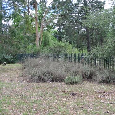 Free State, HARRISMITH district, Van Reenen, Waterfall 1150, farm cemetery_2