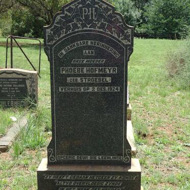 HOFMEYR Phoebe nee STROEBEL -1924