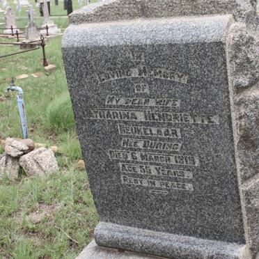 BEUKELAAR Catharina Hendriette nee DURING -1918