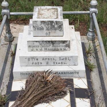 HAUMANN Dollie -1901