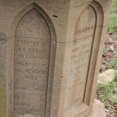 STEAD Johanna Catherina -1880