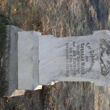 EBERSOHN Susarah Maria 1875-1902