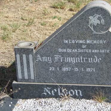 N - Vanne :: Surnames - N