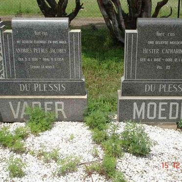 PLESSIS Andries Petrus Jacobus, du 1886-1954 &amp; Hester Catharina 1888-1982