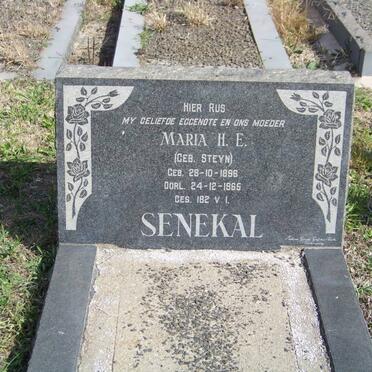 SENEKAL Maria H.E. nee STEYN 1896-1965