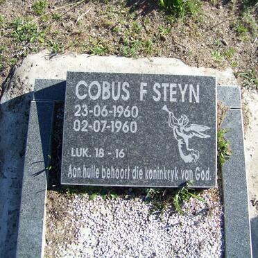 STEYN Christo J. 1960-1960 :: STEYN Cobus F. 1960-1960