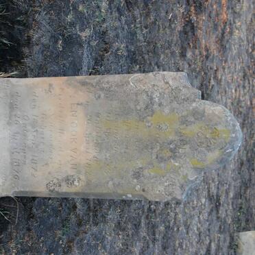 SCHROEDER 1873-1874 :: SCHROEDER Fredrik H. 1872-1876