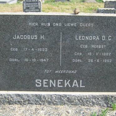 SENEKAL Jacobus H. 1882-1947 &amp; Leonora D.C. HERBST 1882-1962