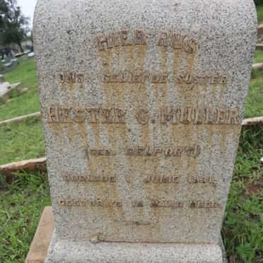 MULLER Hester C. nee DELPORT -1931