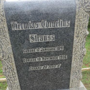 STRAUSS Hermias Cornelius 1841-1906