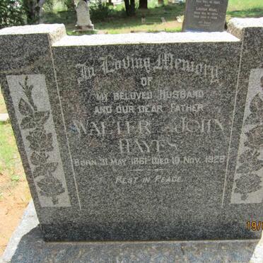HAYES Walter John 1861-1928