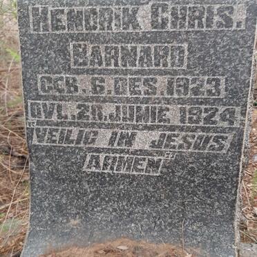 Free State, KOPPIES district, Nooitgedacht 445, farm cemetery