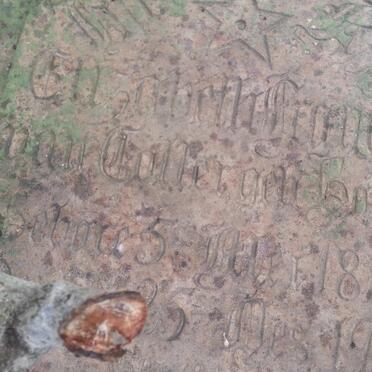 COLLER Elizabeth Francina, van nee BOTHA 1849-1931