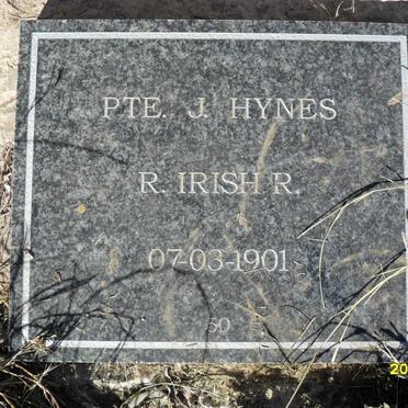 HYNES J. -1901
