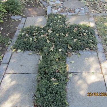 5. Overview / Oorsig