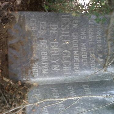 BRUYN Hester Cecilia, de nee De BRUYN 1880-?