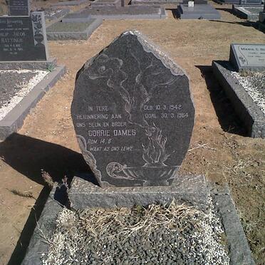 DAMES Corrie 1942-1964