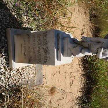 SCHULTZ Victor 1927-1931 