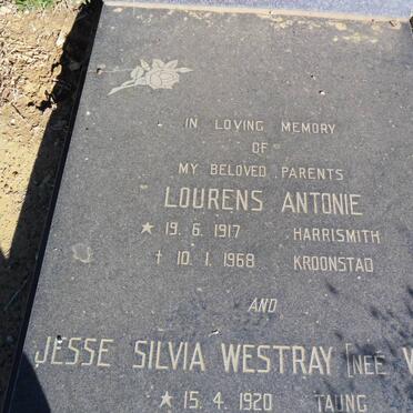 WESTRAY Lourens Antonie 1917-1968