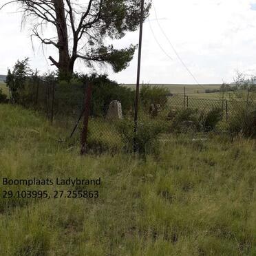 Free State, LADYBRAND district, Boomplaats 248, farm cemetery