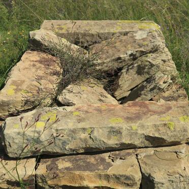 Free State, LADYBRAND district, Hobhouse, Bloemhof 885, farm cemetery