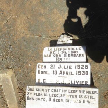 O - Surnames :: Vanne - O