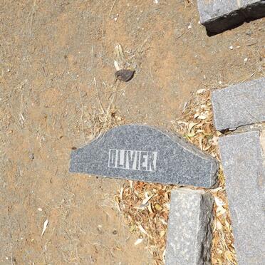 OLIVIER Hendrik Gerhardus 1884-1951 &amp; Susara Johanna LAMPRECHT 1890-1966