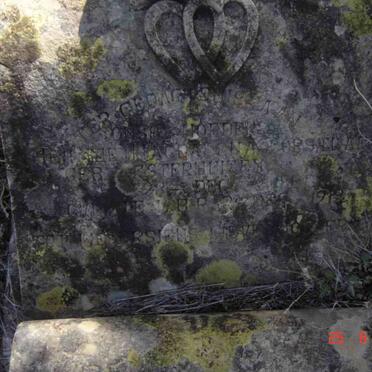 BORSTLAP Heiltje Magdalena nee ESTERHUIZEN 1864-1919