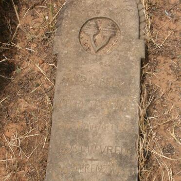 BRIEL Niklas 1868-1886