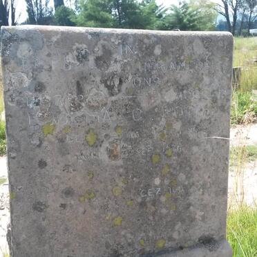 BOTHA Douwlina G. nee BOTHA 1849-1936