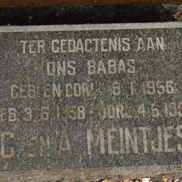 MEINTJES 1956-1956 :: MEINTJES 1958-1958