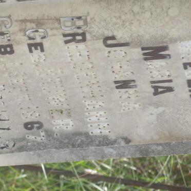 BRIEDENHANN Coenraad Johannes Jacob 18?3-1939 &amp; Maria Johanna BRUWER 1867-1948