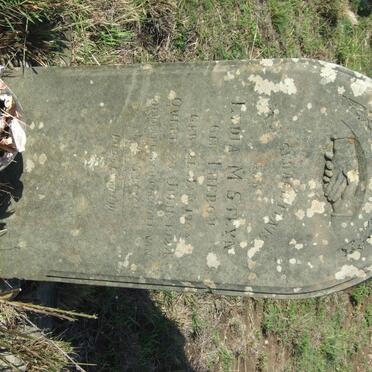 STEYN Lydia M. nee THERON 1904-1924  