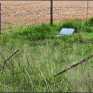 Free State, REITZ district, Onverwacht 196, farm cemetery