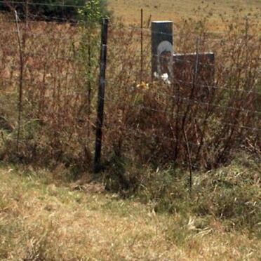 Free State, REITZ district, Dankbaar 1036, farm cemetery