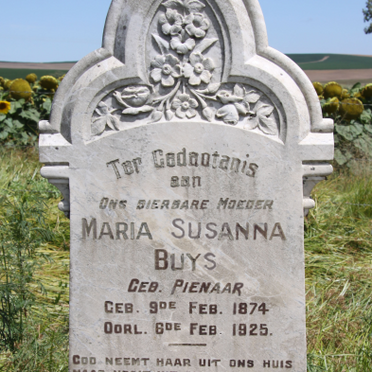 Free State, REITZ district, Opstal 935, farm cemetery