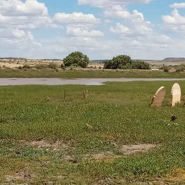 Free State, ROUXVILLE district, Heuningkop 411, farm cemetery_02