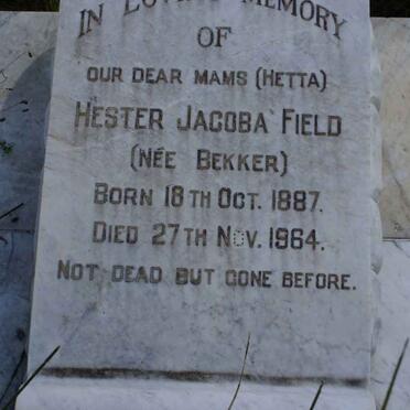 FIELD Hester Jacoba nee BEKKER 1887-1964