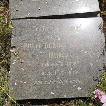 WILKEN Anna Elizabeth BOUWER 1855-1941 :: WILKEN Pieter Andries Frederik 1???-1963