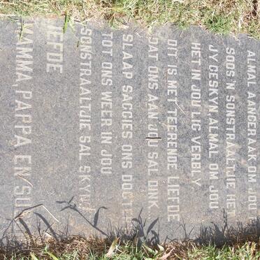 BERGH Christiaan George 1981-1991