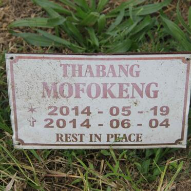 MOFOKENG Thabang 2014-2014