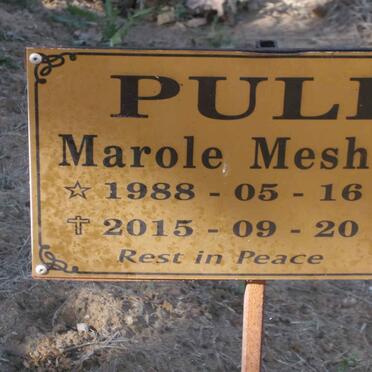 PULE Marole Meshack 1988-2015