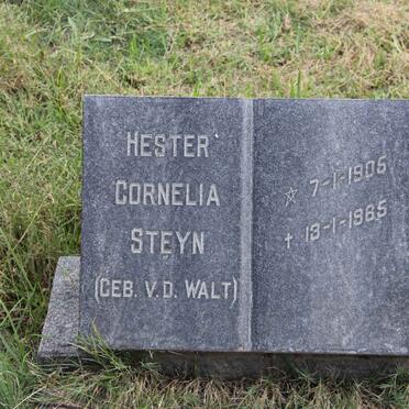 STEYN Hester Cornelia nee VAN DER WALT 1905-1965
