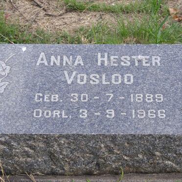VOSLOO Anna Hester 1889-1966