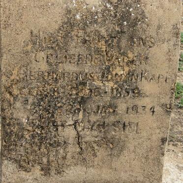 KAPP Gerhardus Johan 1859-1934