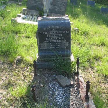 BUSTRAAN Aletta Pieteronella nee VAN WYK 1864-1935