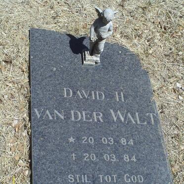 WALT David H., van der 1984-1984