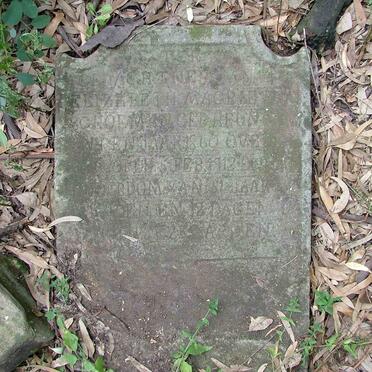 SCHOEMAN Elizabeth Margaretha 1860-1912